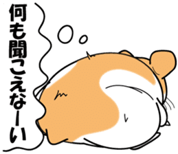 Real intention of the hamster. sticker #10927450