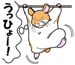 Real intention of the hamster. sticker #10927454