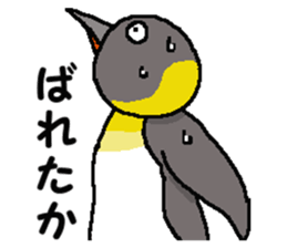 "Penco" 2 sticker #10928260