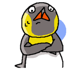 "Penco" 2 sticker #10928261