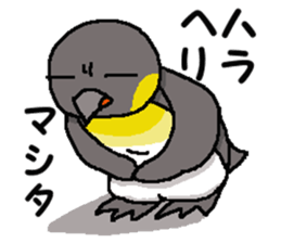 "Penco" 2 sticker #10928265