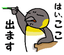 "Penco" 2 sticker #10928268