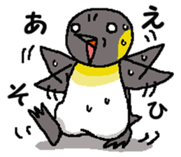 "Penco" 2 sticker #10928270