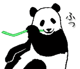 Pandan5 sticker #10928794