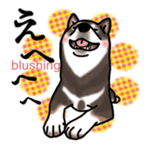 ShibaInu ZANMAI 2 sticker #10929068