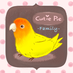 Cutie Pie the birdy family