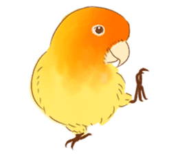 Cutie Pie the birdy family sticker #10930460