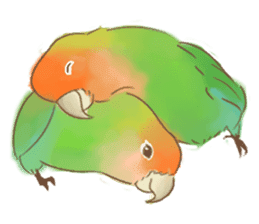 Cutie Pie the birdy family sticker #10930462