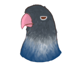 Cutie Pie the birdy family sticker #10930465