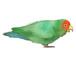 Cutie Pie the birdy family sticker #10930472