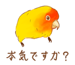 Cutie Pie the birdy family sticker #10930473