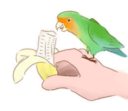 Cutie Pie the birdy family sticker #10930479