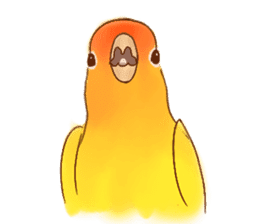 Cutie Pie the birdy family sticker #10930480