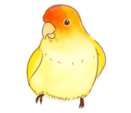 Cutie Pie the birdy family sticker #10930481