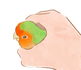 Cutie Pie the birdy family sticker #10930485