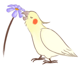 Cutie Pie the birdy family sticker #10930492