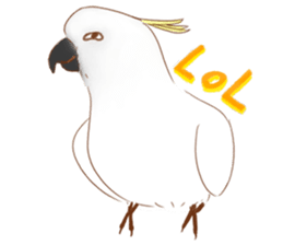 Cutie Pie the birdy family sticker #10930495