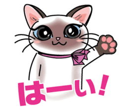Cute Siamese cat Sticker sticker #10935218