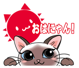 Cute Siamese cat Sticker sticker #10935224