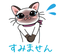 Cute Siamese cat Sticker sticker #10935228