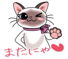 Cute Siamese cat Sticker sticker #10935231