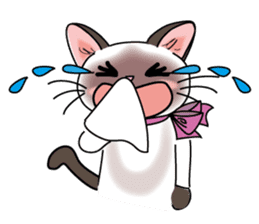 Cute Siamese cat Sticker sticker #10935241