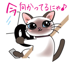 Cute Siamese cat Sticker sticker #10935248