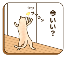 Cat's paw pads  vol.2 sticker #10936120