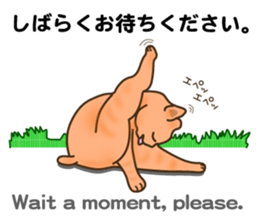 Cat's paw pads  vol.2 sticker #10936121