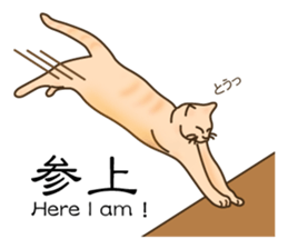 Cat's paw pads  vol.2 sticker #10936122