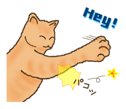 Cat's paw pads  vol.2 sticker #10936124