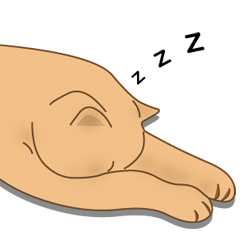 Cat's paw pads vol.1