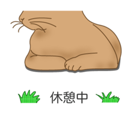 Cat's paw pads vol.1 sticker #10936159