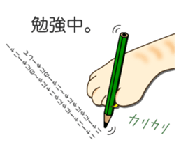 Cat's paw pads vol.1 sticker #10936174