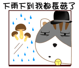 hat cat's ordinary life sticker #10937368