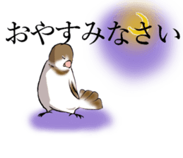 bengalese finches stickers sticker #10939297