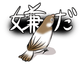 bengalese finches stickers sticker #10939299