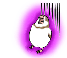 bengalese finches stickers sticker #10939300