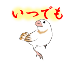 bengalese finches stickers sticker #10939302