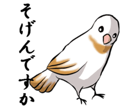bengalese finches stickers sticker #10939308