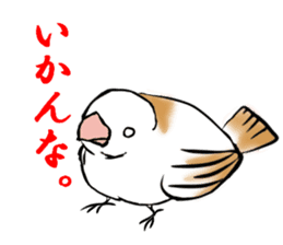 bengalese finches stickers sticker #10939309