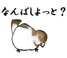 bengalese finches stickers sticker #10939319