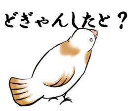 bengalese finches stickers sticker #10939323