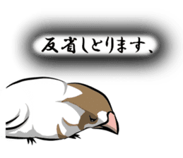 bengalese finches stickers sticker #10939327