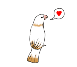 bengalese finches stickers sticker #10939331