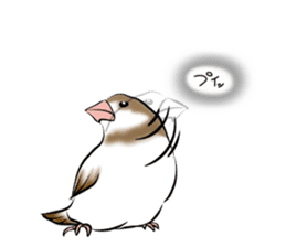 bengalese finches stickers sticker #10939334