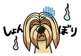 iinu - Lhasa Apso sticker #10939700