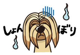 iinu - Lhasa Apso sticker #10939700