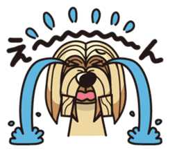 iinu - Lhasa Apso sticker #10939702