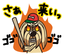 iinu - Lhasa Apso sticker #10939709